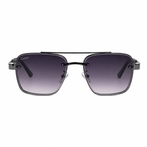 CARTIER SILVER GRADIENT